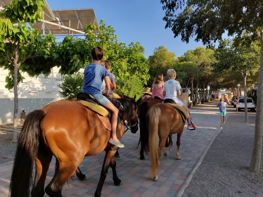 Montar a caballo en actividades en familia de Camping Valencia